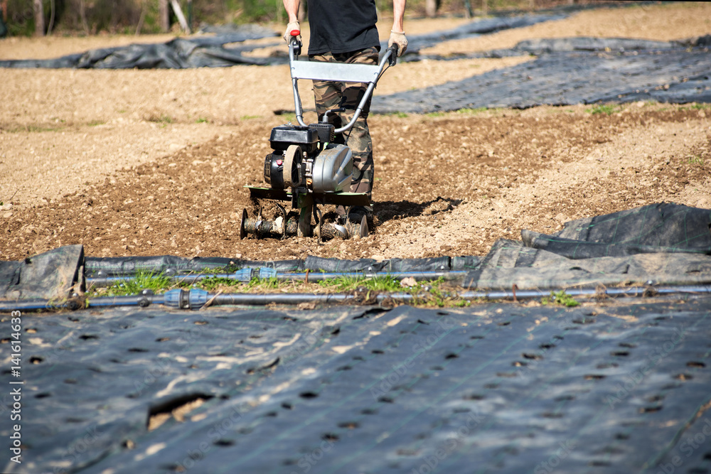 Obraz premium Man using a mechanical hoe or rotovator