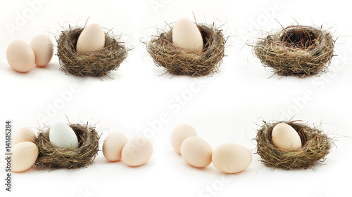 Composition with empty nest and big eggs inside the small nests, isolated on white photo