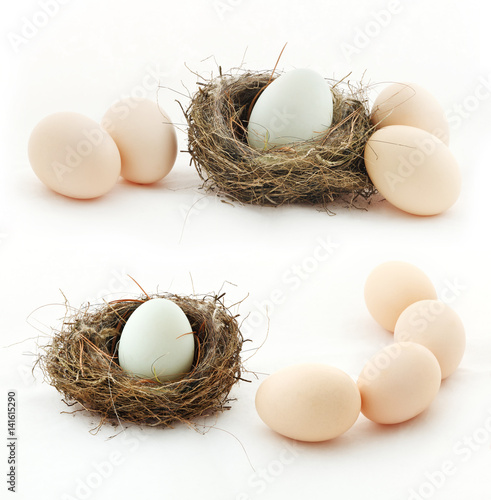 Composition with eggs and the nest