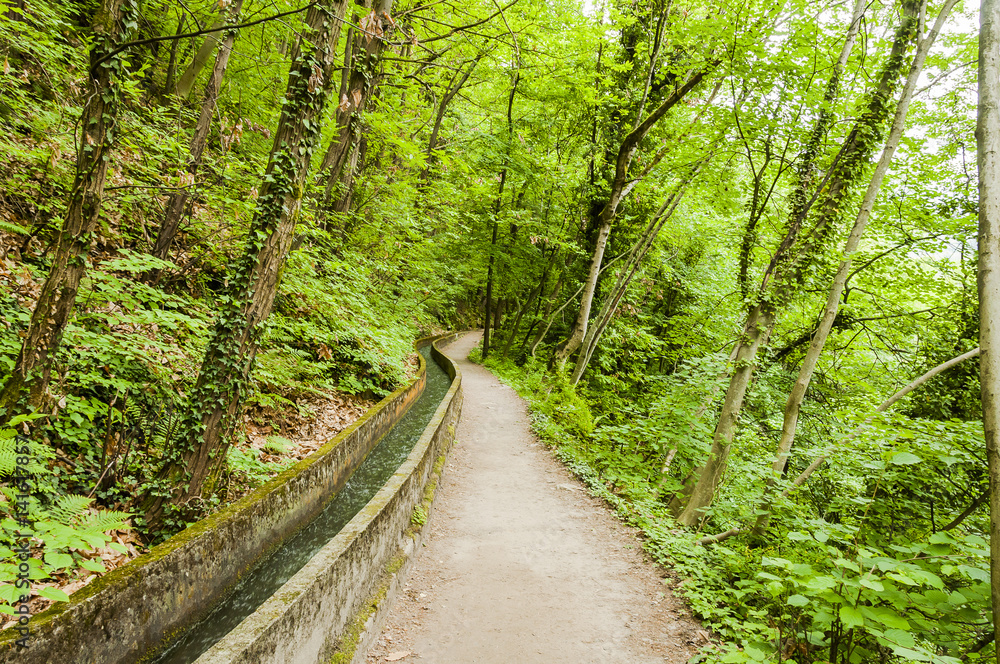 Obraz premium Marling, Dorf, Waalweg, Wanderweg, Marlinger Waalweg, Wald, Waldweg, Naturweg, Frühling, Frühlingsfarben, Vinschgau, Südtirol, Italien