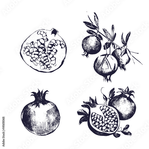 Pomegranate hand drawn set. Collection on white background, isolated fruit wh...
