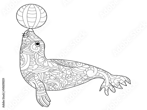 Fur seal coloring vector for adults