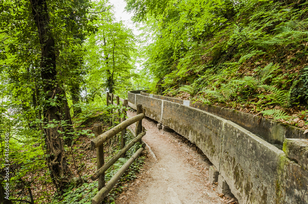 Marling, Waalweg, Wanderweg, Marlinger Waalweg, Wasserversorgung, Wald, Waldweg, Frühling, Vinschgau, Südtirol, Italien Marling, Waalweg, Wanderweg, Marlinger Waalweg, Wasserversorgung, Wald, Waldweg, Frühling, Vinschgau, Südtirol, Italien