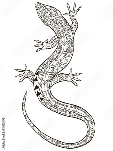 Lizard coloring vector for adults