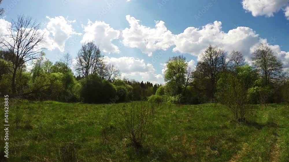 Green field with trees. A Sunny summer day. Beautiful landscape Green field with trees. A Sunny summer day. Beautiful landscape
