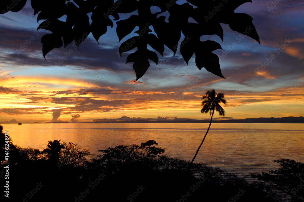 Naklejka premium Landscape of a tropical beach in Vanua Levu Island Fiji