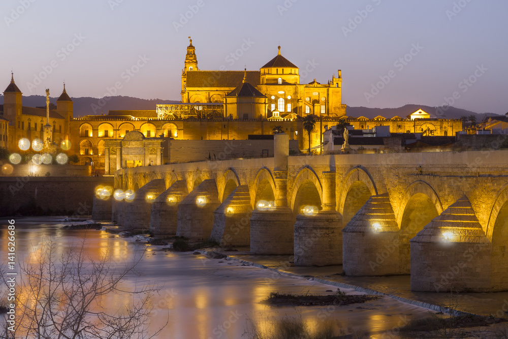 Roman bridge, Cordoba, Spain with bokeh effect.