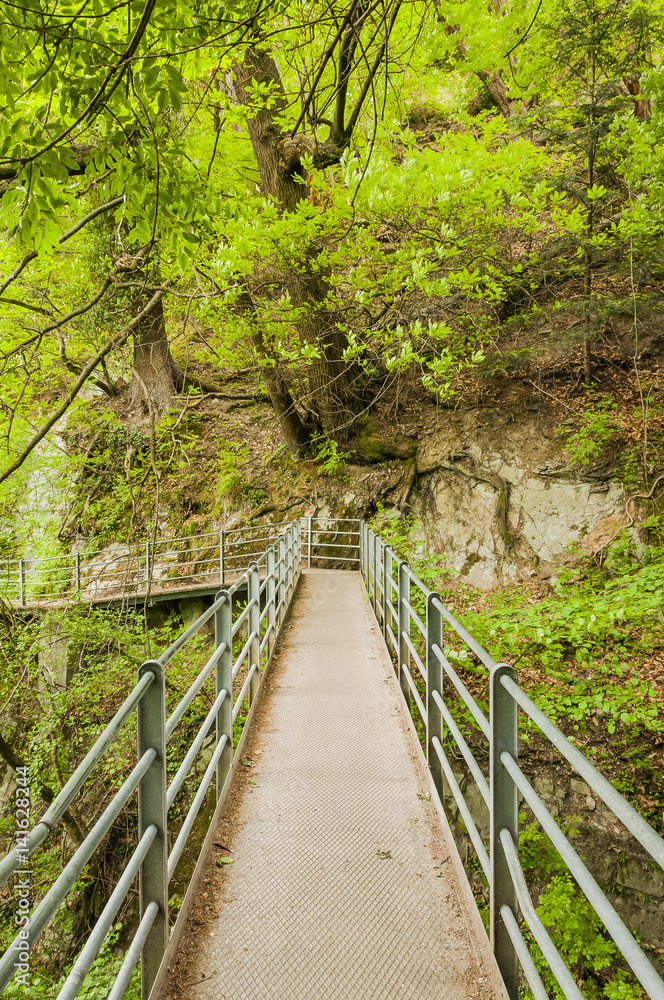Obraz premium Marling, wieś, Marlinger Waalweg, Waalweg, szlak turystyczny, promenada, las, most, źródło, Vinschgau, Południowy Tyrol, Włochy