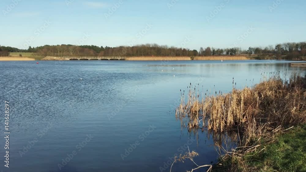 Landscape video of rural area pond with blue choppy water, forest and clear sky on background Landscape video of rural area pond with blue choppy water, forest and clear sky on background