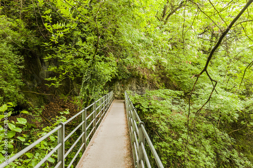 Marling  Marlinger Waalweg  Waalweg  Wald  Waldweg  Br  cke  Fr  hling  Fr  hlingswanderung  Vinschgau  S  dtirol  Italien