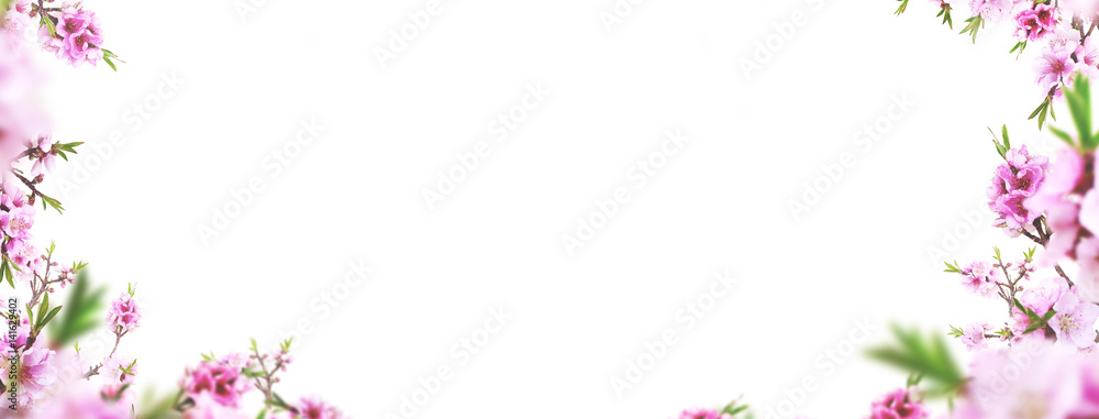 Cornice di fiori primaverili o biglietto d'auguri Stock Illustration |  Adobe Stock