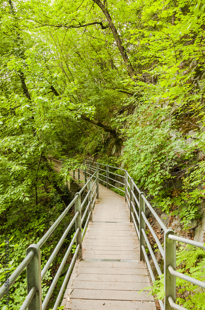 Fototapeta premium Marling, Dorf, Marlinger Waalweg, Waalweg, Wanderweg, Spazierweg, Wald, Waldweg, Brücke, Frühling, Vinschgau, Südtirol, Italien