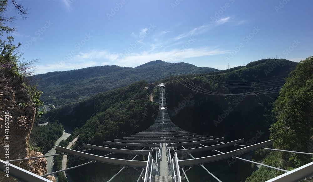 Fototapeta premium Bridge