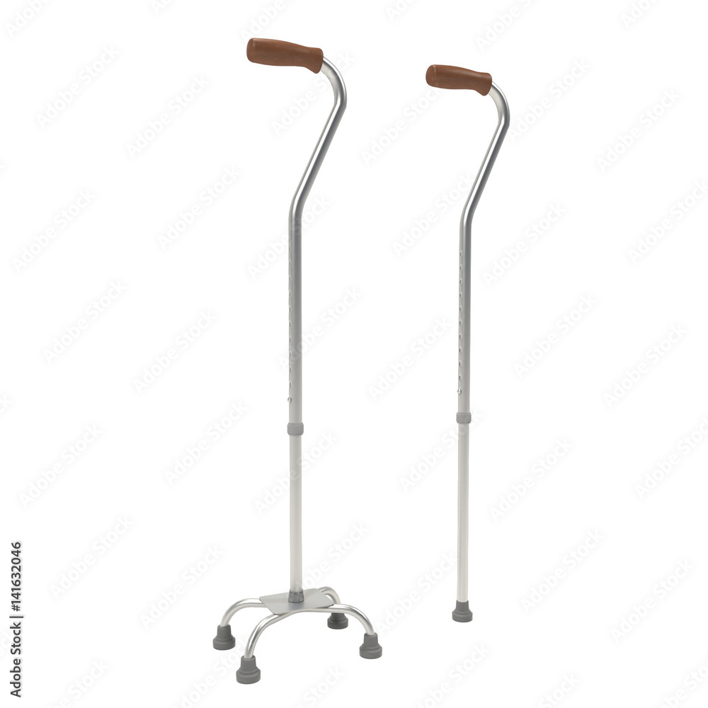 Walking stick isolated on white - 3d rendering. Walking stick isolated on white - 3d rendering.