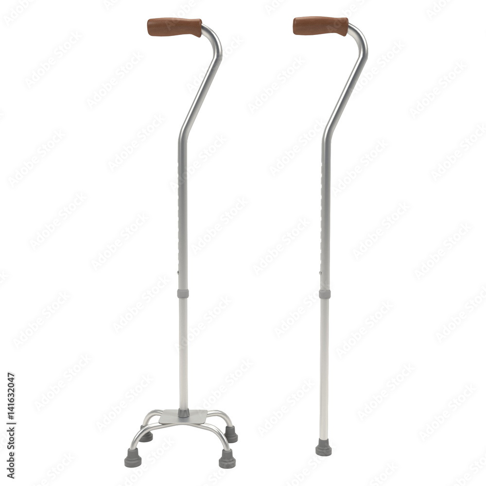 Walking stick isolated on white - 3d rendering. Walking stick isolated on white - 3d rendering.
