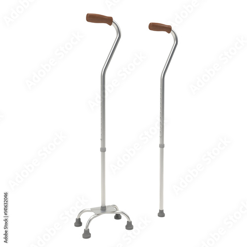 Walking stick isolated on white - 3d rendering.