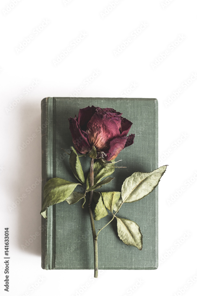 5,044 Book Dried Rose Royalty-Free Images, Stock Photos & Pictures