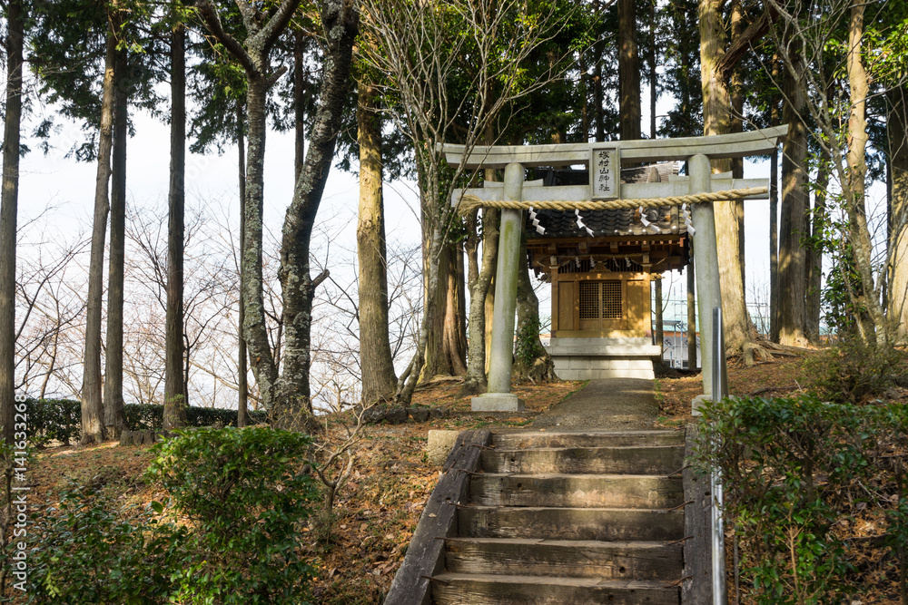 Tsukamurayama shrine Tsukamurayama shrine