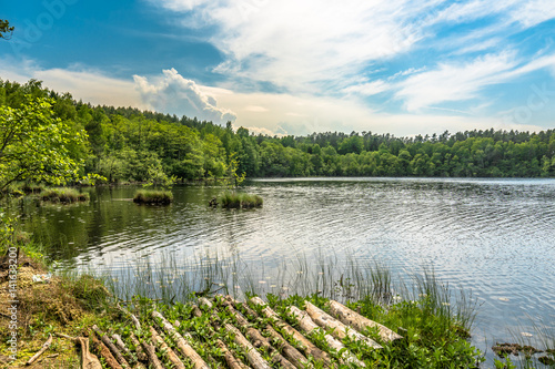 Sunny summer landscape of lake in the forest