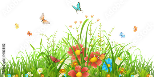 Vector green grass with flowers and butterflies on white © Oleksandr Dibrova