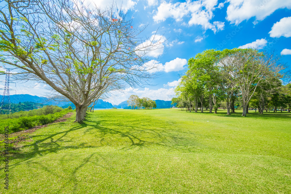 Fototapeta premium landscape viewpoint