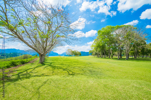 landscape viewpoint