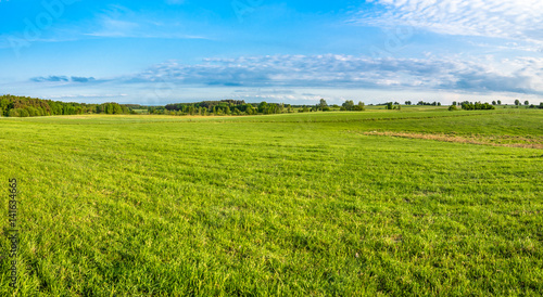Green field  panorama of meadow with grass in spring..