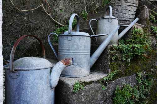 Three old galvanise tin watering cans arranged on stone garden steps, with plants growing in cracks on wall.
