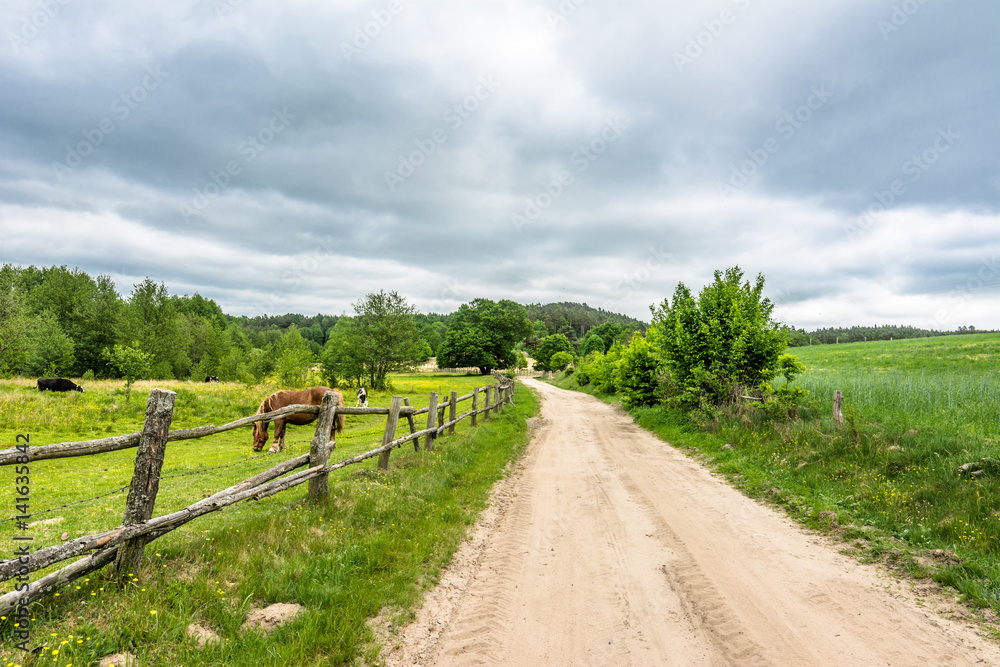 Polish rural road and horse farm in the summer, landscape