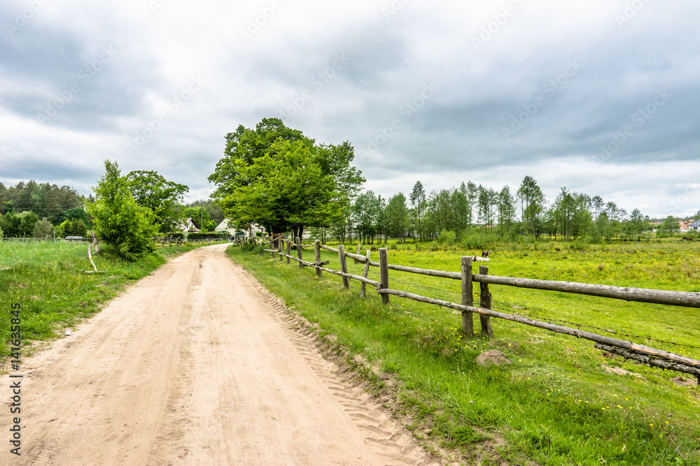 Polish rural road and horse farm in the summer, landscape