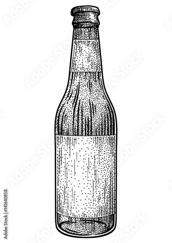 Beer bottle illustration, drawing, engraving, ink, line art, vector
