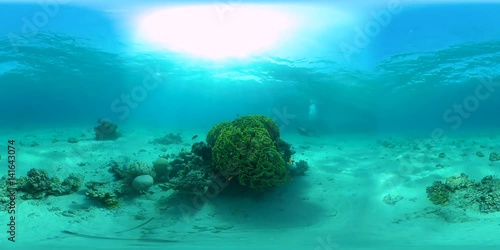 coral reef Underwater 360 vr