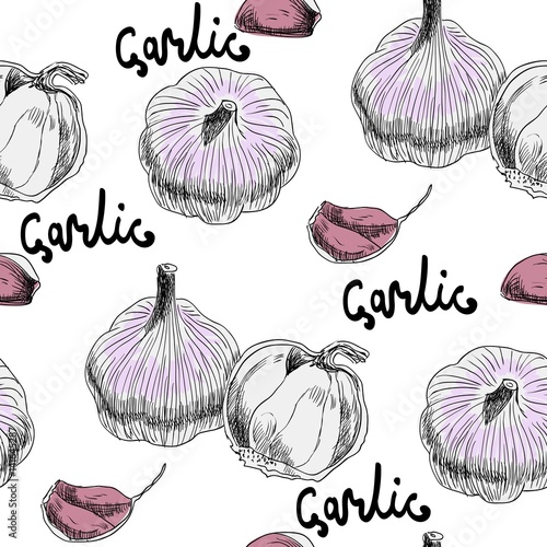 Vector seamless pattern with garlic on white background