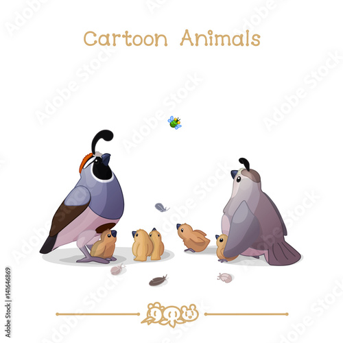 
Toons series cartoon animals: california quails family