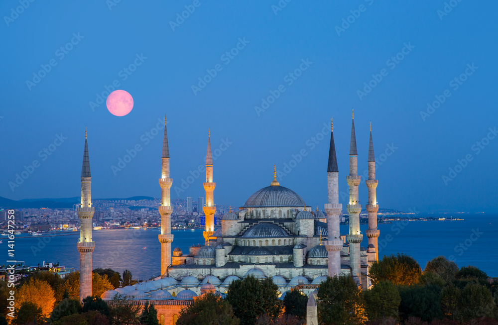 Naklejka premium The Blue Mosque , istanbul