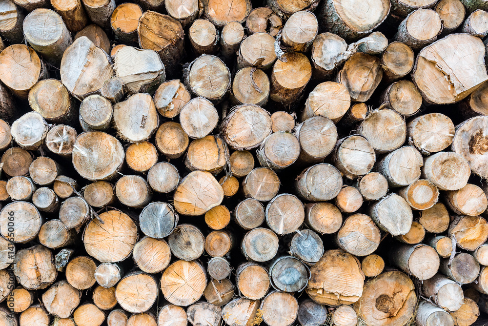 Holzstapel gefällter Bäume - rund Holzstapel gefällter Bäume - rund