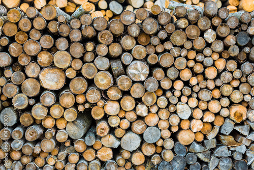 Holzstapel gefällter Bäume - rund