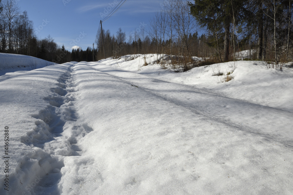 Trace of a human in the snow on a road in the forest