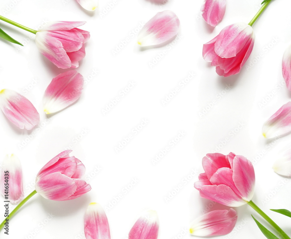 Floral pattern made of pink tulips on white background. Flat lay, top view. Pattern of flowers. Flowers pattern texture. frame Floral pattern made of pink tulips on white background. Flat lay, top view. Pattern of flowers. Flowers pattern texture. frame