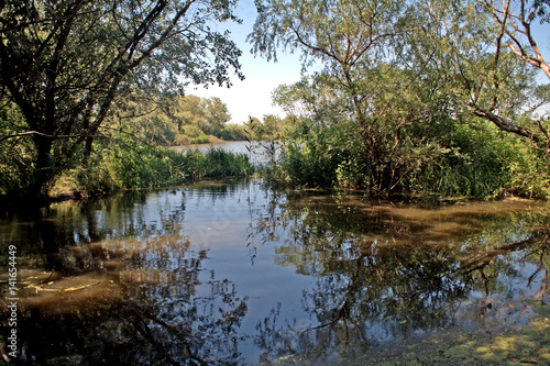 Swampy area at River Tisza, Tiszaalpar, Hungary