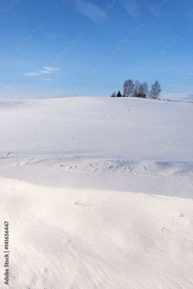 Snowy winter landscape.