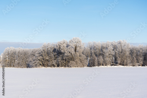 Snowy winter landscape.