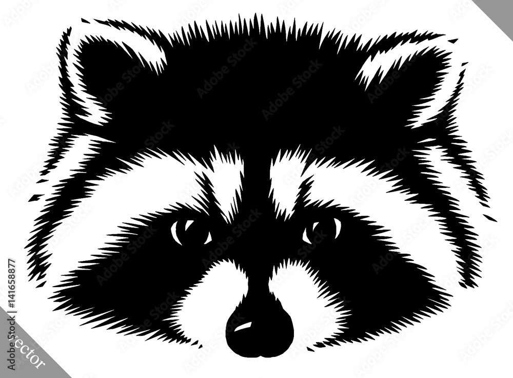 black and white linear paint draw raccoon vector illustration Stock ...