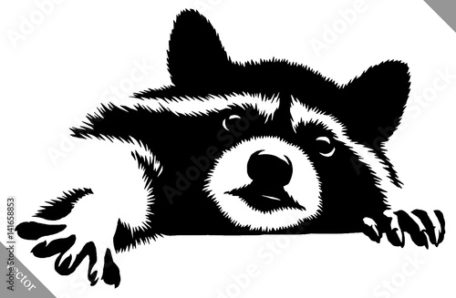 black and white linear paint draw raccoon vector illustration photo