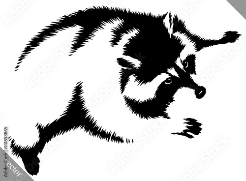 black and white linear paint draw raccoon vector illustration