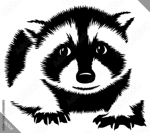 black and white linear paint draw raccoon vector illustration
