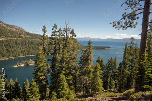 Lake Tahoe Through Trees