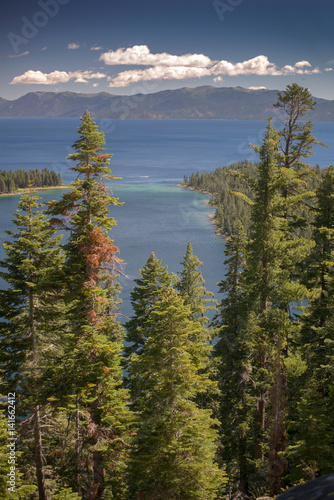 Lake Tahoe Through Trees