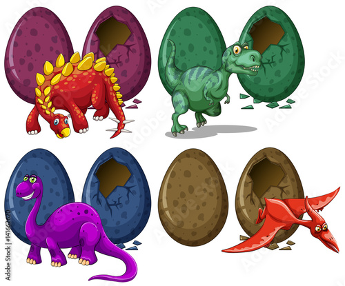 Different types of dragons and eggs