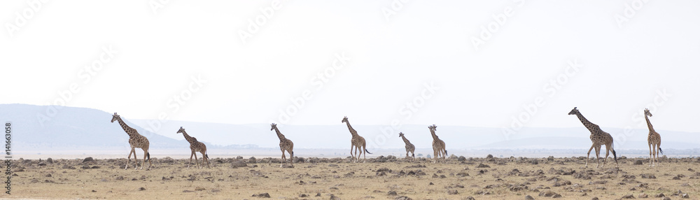 Naklejka premium Kenya Africa